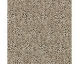 Mohawk Stylish Effect Carpet