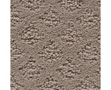 Mohawk Classic Style Carpet