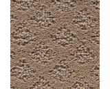 Mohawk Classic Style Carpet