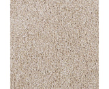 Mohawk Delicate Tones II Carpet