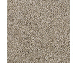Mohawk Delicate Tones I Carpet