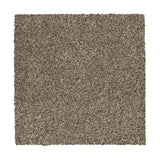 Mohawk Natural Opulence I Carpet