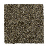 Mohawk Natural Opulence I Carpet