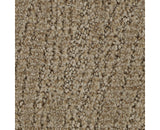 Mohawk Stylish Trend Carpet