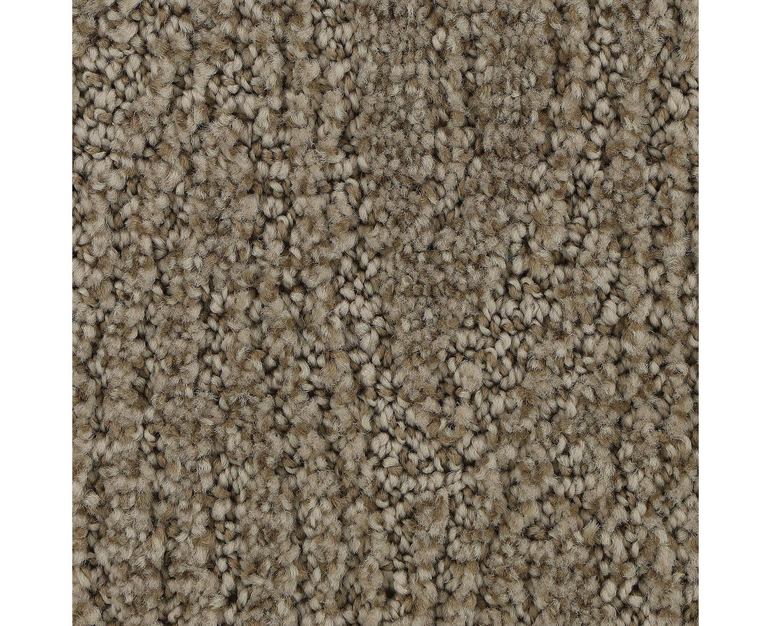 Mohawk Stylish Trend Carpet