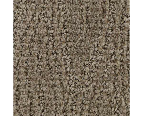 Mohawk Stylish Trend Carpet