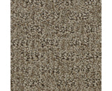 Mohawk Stylish Tones Carpet