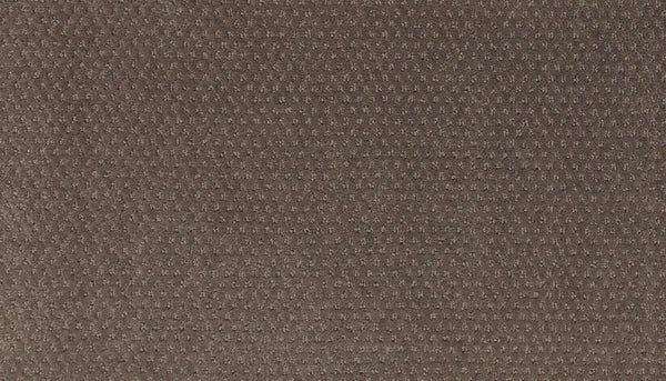 Mohawk Dynamic Momentum Carpet
