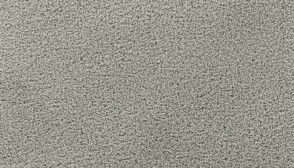 Mohawk Gentle Path Carpet
