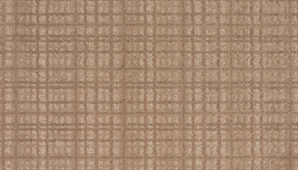 Mohawk Chic Influence Carpet