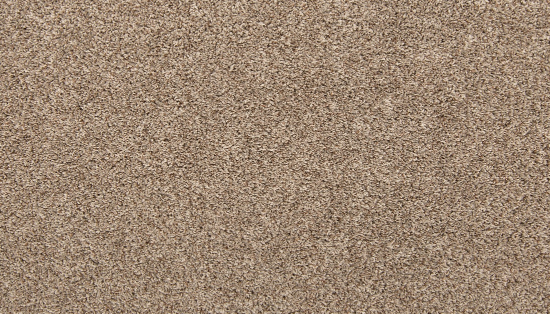 Mohawk Color Classics II Carpet