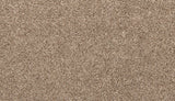 Mohawk Color Classics II Carpet