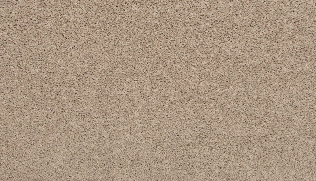 Mohawk Revive Carpet