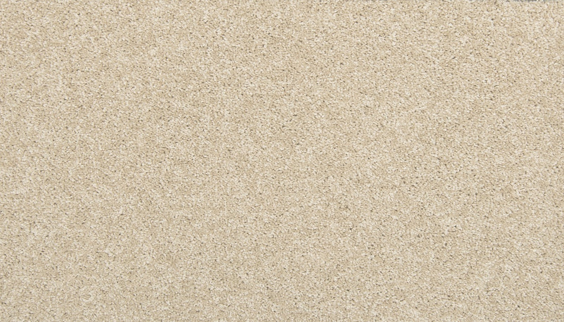 Mohawk Tectonic Carpet