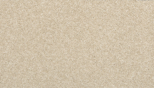 Mohawk Tectonic Carpet