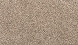 Mohawk Revive Carpet