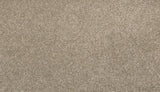 Mohawk Dynamic Quality I Carpet