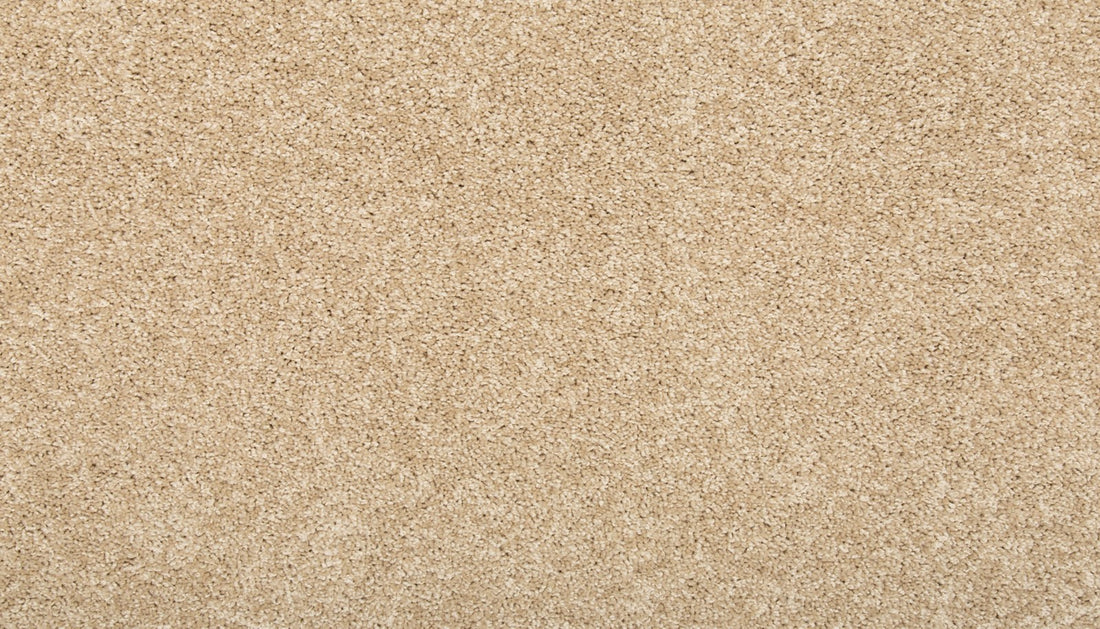 Mohawk Vitalize I Carpet