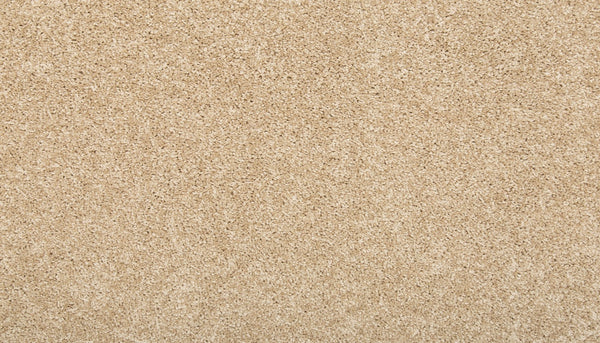 Mohawk Vitalize I Carpet