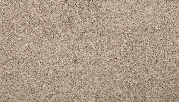 Mohawk Renovate I Carpet
