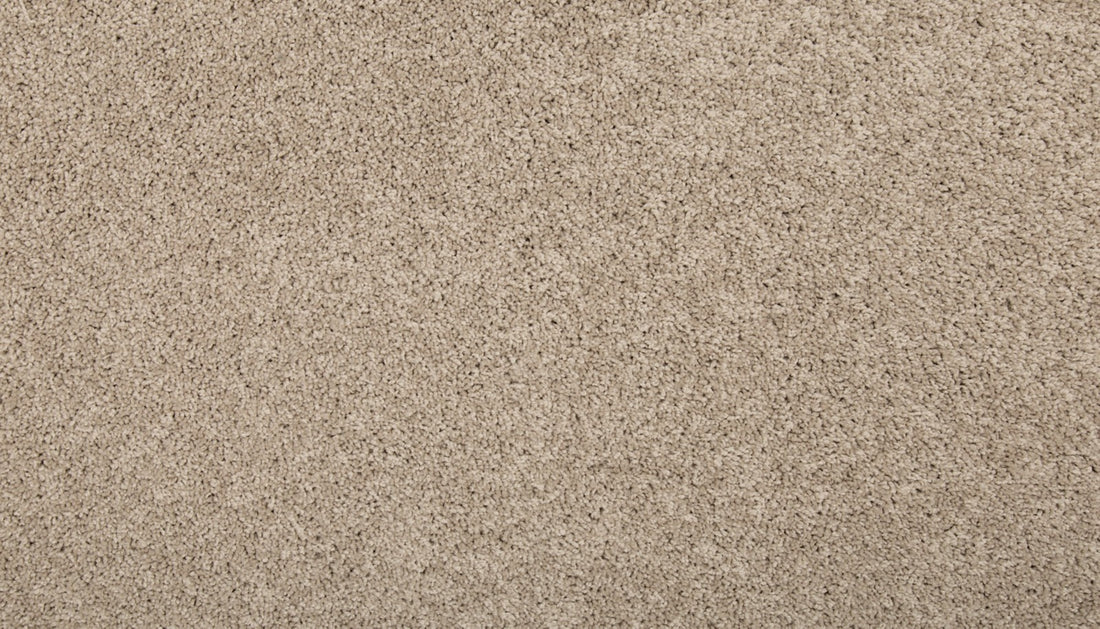 Mohawk Renovate III Carpet