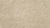 Mohawk Diffurent Choice I Carpet