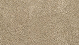 Mohawk Diffurent Choice III Carpet