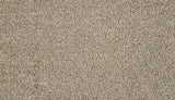 Mohawk Luxuriant Space Carpet