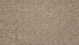 Mohawk Luxuriant Surface Carpet