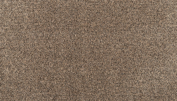 Mohawk Reverie Carpet