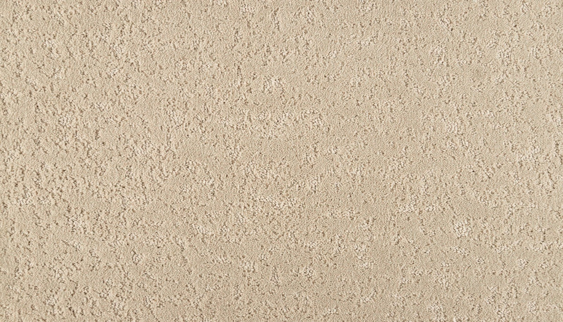 Mohawk Mineral Effects Carpet