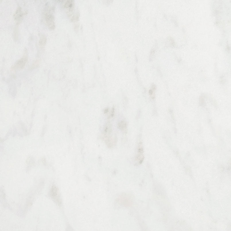 MSI Absolute White - Marble Slab