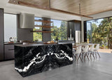 MSI Andes Black - Quartzite Slab