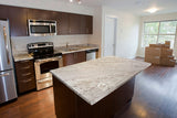 MSI Andino White - Granite Slab