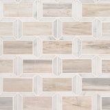 MSI Angora Framework Polished Subway Tile