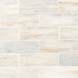 MSI Angora Subway Polished Tile 2x6