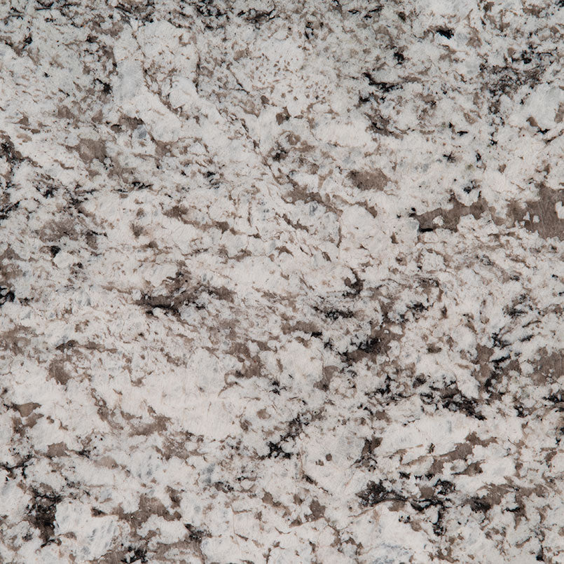 MSI Avalon White - Granite Slab