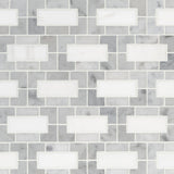 MSI Bianco Dolomite Lynx Polished Marble Tile