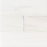 MSI Bianco Dolomite Polished Subway Tile 4x12