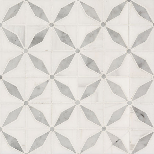 MSI Bianco Dolomite Starlite Marble Geometric Tile