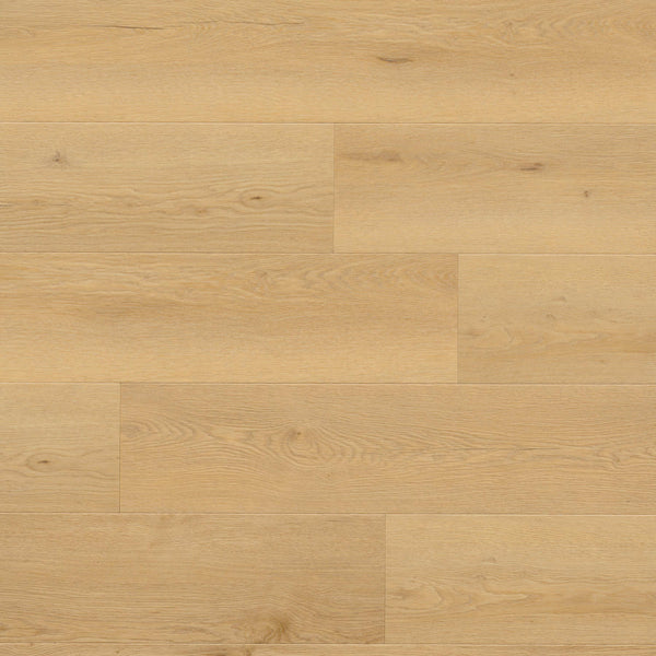 MSI Wayne Parc Bluffview Luxury Vinyl Plank Flooring