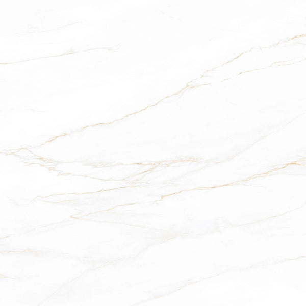 MSI Calacatta Corrinna - Glazed Porcelain Slab