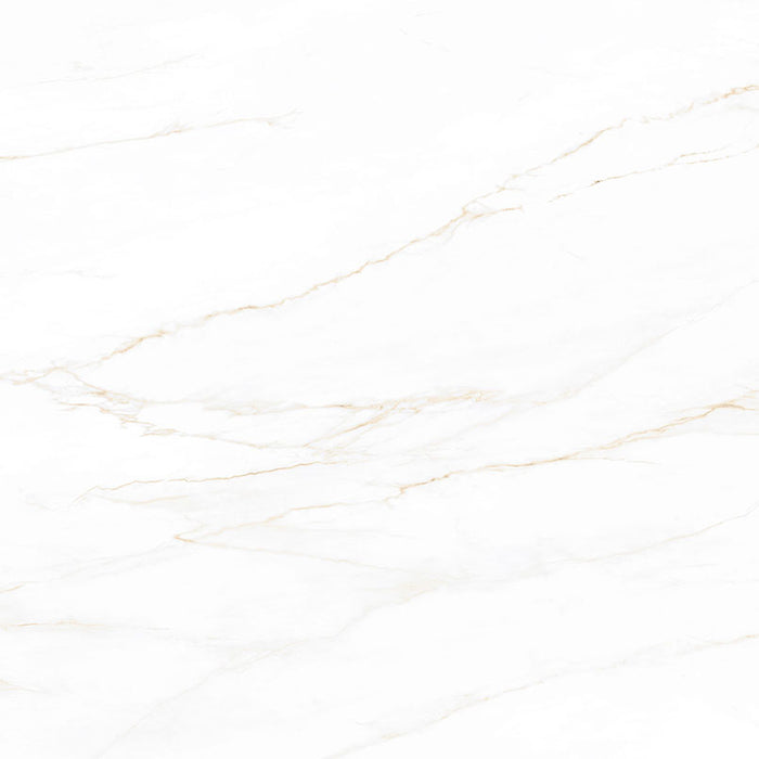 MSI Calacatta Corrinna - Glazed Porcelain Slab