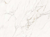 MSI Calacatta Lucca - Glazed Porcelain Slab