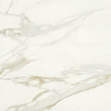 MSI Calacatta Prici - Glazed Porcelain Slab