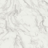 MSI XL Trecento Calacatta Venosa Gold Luxury Vinyl Tile Flooring