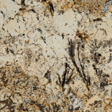 MSI Caravelas Gold - Granite Slab