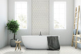 MSI Bianco Dolomite Cecily Grigio Polished