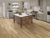 MSI Bianco Dolomite Cecily Pattern Marble Tile