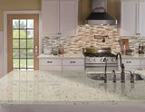 MSI Colonial White - Granite Slab